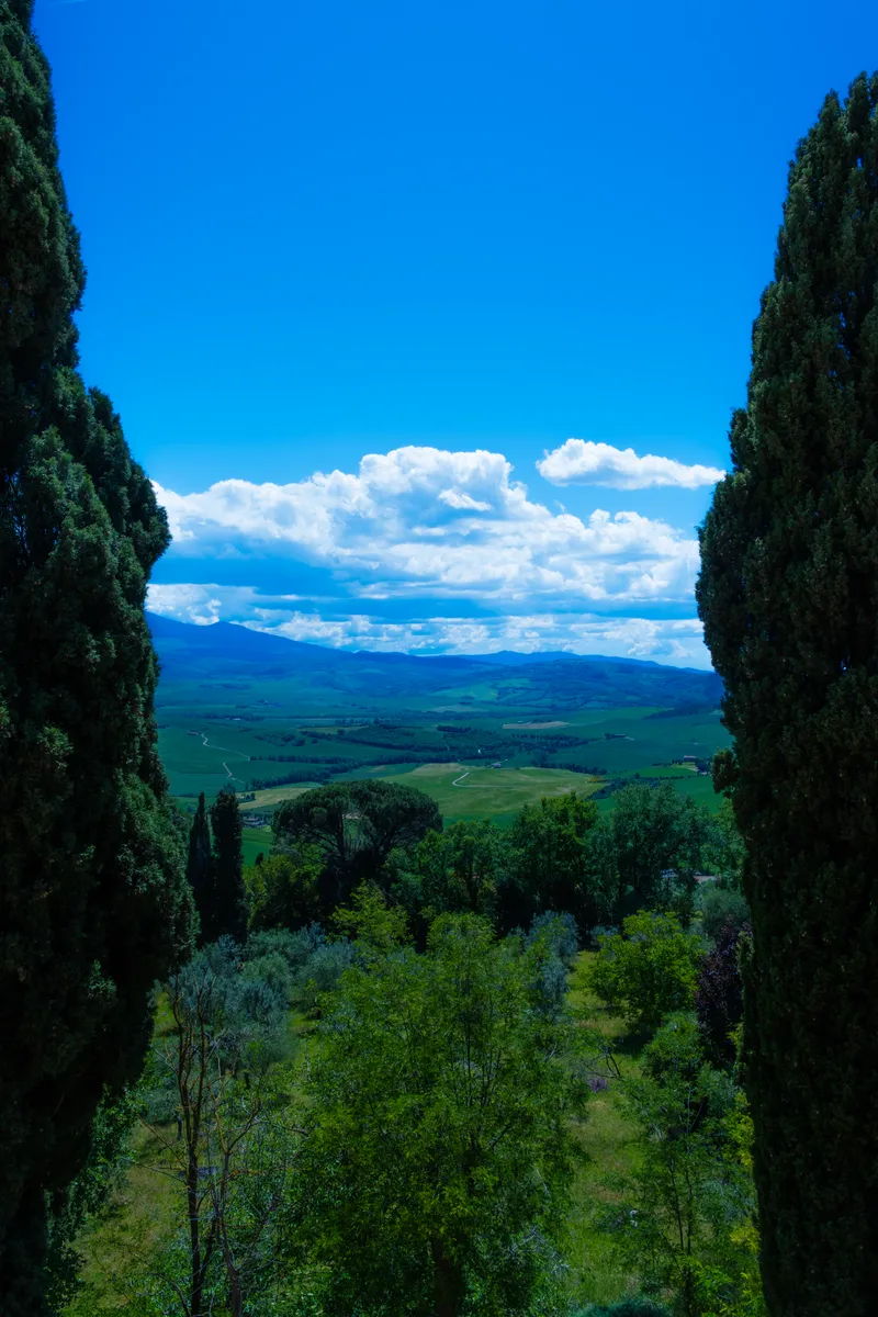 Cypress Window